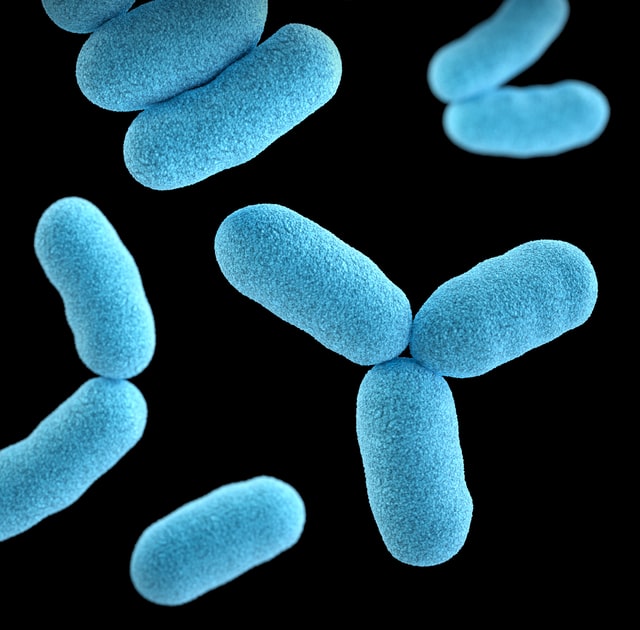 Rafts4Biotech tweet picture