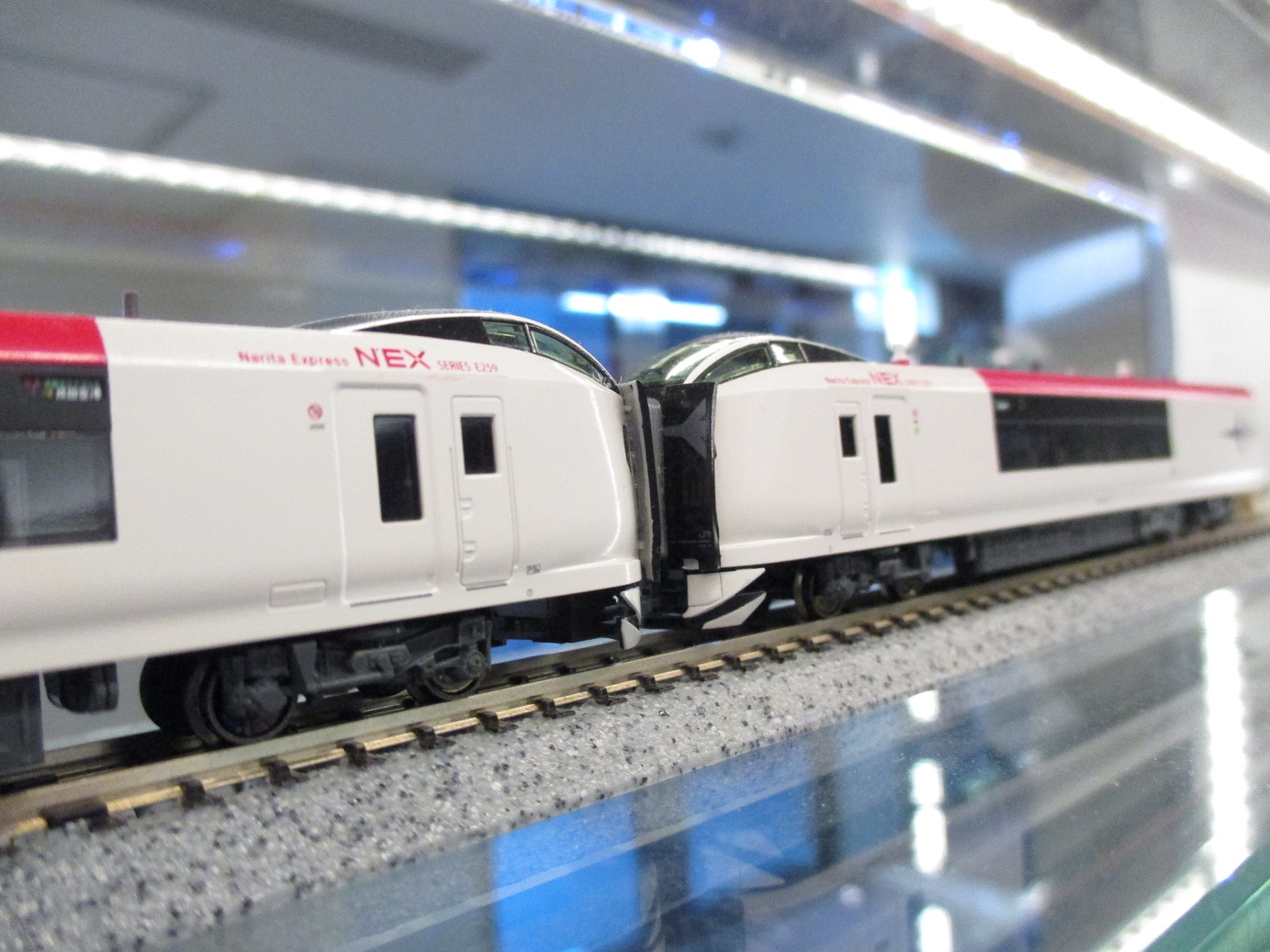 加工品】E259系成田エクスプレス 12両編成説明書などのインレタは 加工品】E259系成田エクスプレス 12両編成説明書などのインレタは