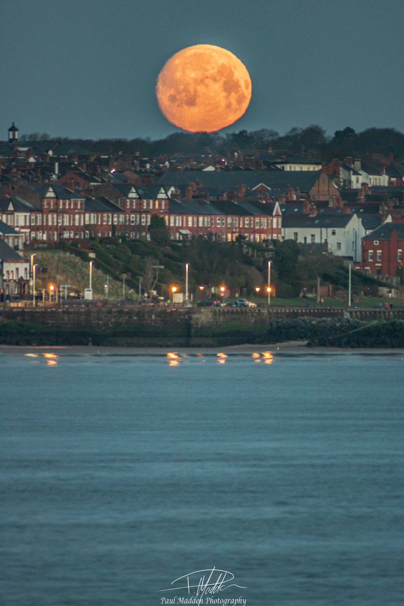 Paul Madden Photography tweet media