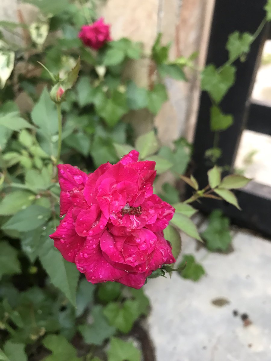 ThiaTAMARA6's tweet photo. 🥀🍃 https://t.co/an4gAAwzij