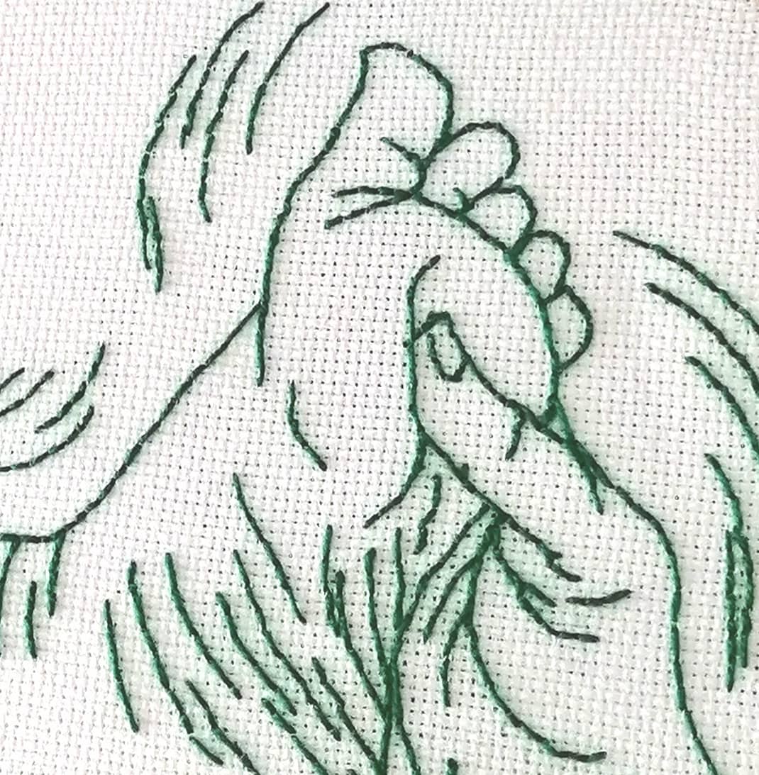 'Pulso raro' (tela sobre bastidor de 24cm).
#bastidor #bordado #bordadodibujado #sewingproject #foot #clarasoriano #sewing #monocolor #armwrestling #green #embroidery #embroideryart #embroiderersofinstagram #embroideryartist