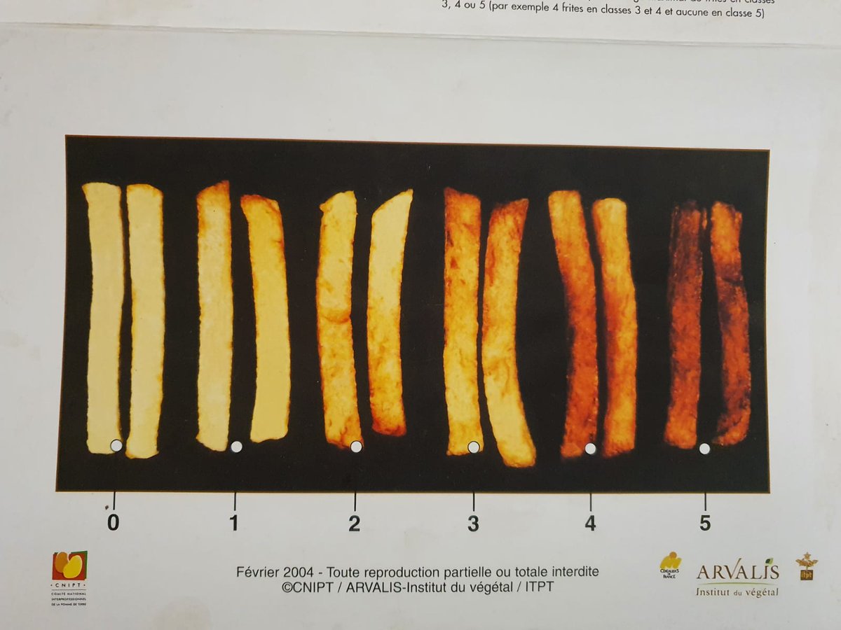 fertilizerpluS's tweet photo. The proof of the potato (&amp; #fertilizer use) is in the chipping!

That's why ICL Agronomists in #France test fry stored #potatoes from their #potash #trial harvested Oct 20, comparing  #Polysulphate &amp; #PotashpluS &amp; other K fertilizers.

On chip chart, 2 (+ @Polysulphate) is best. https://t.co/WIFgSvWRlC