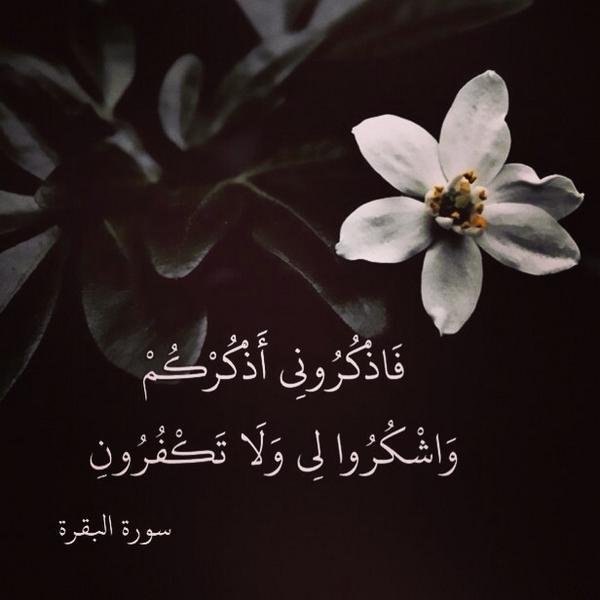 #جونا_بالليل_يبيله
اللّهُـمَّ بِكَ أَصْـبَحْنا وَبِكَ أَمْسَـينا ، وَبِكَ نَحْـيا وَبِكَ نَمُـوتُ وَإِلَـيْكَ النُّـشُور