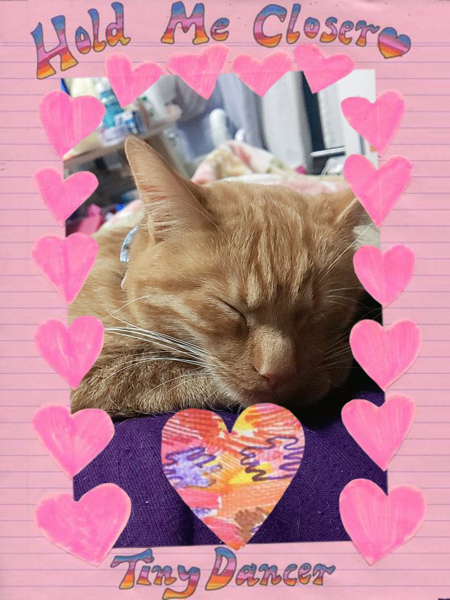 お腹の上でこんな安心しきたまだて眠る子にママはメロメロなのだ😍😍😍
#猫好きさんと繋がりたい