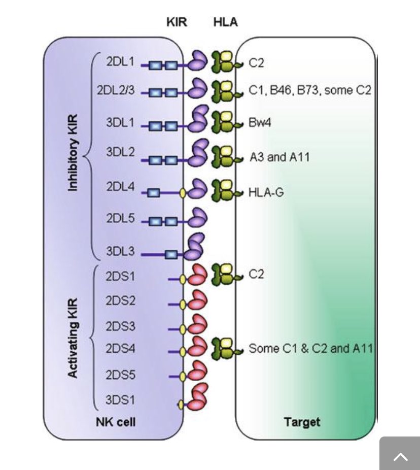 Chicas me a parecido muy interesante esto, tenedlo en cuenta!! #infertilpandy
