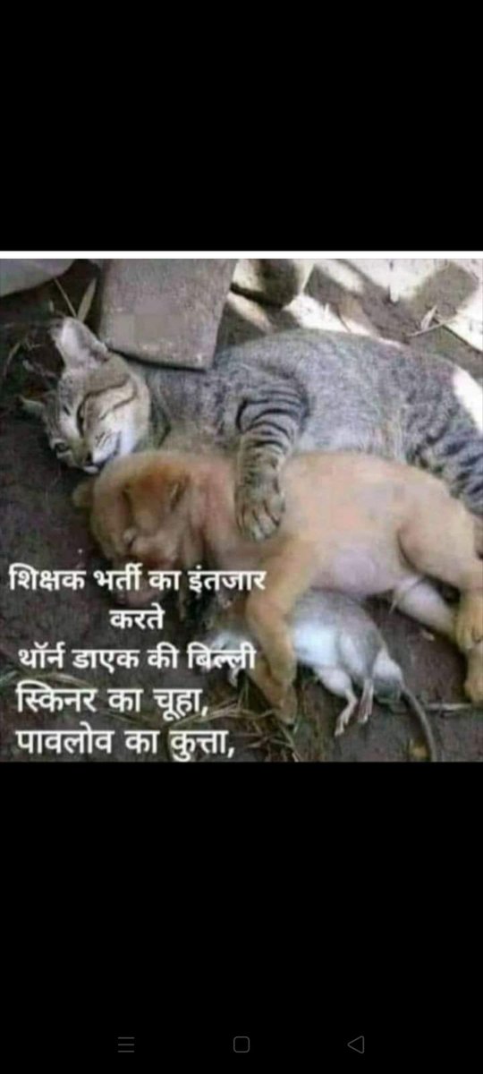 Sharma1714's tweet photo. #YogijiUPPRTnewvacancy 
#yogiji_vacaancy_clearkariye 
69k solve answer key matter.

#yogi _rojgar _ do https://t.co/ybJqUUqSiQ