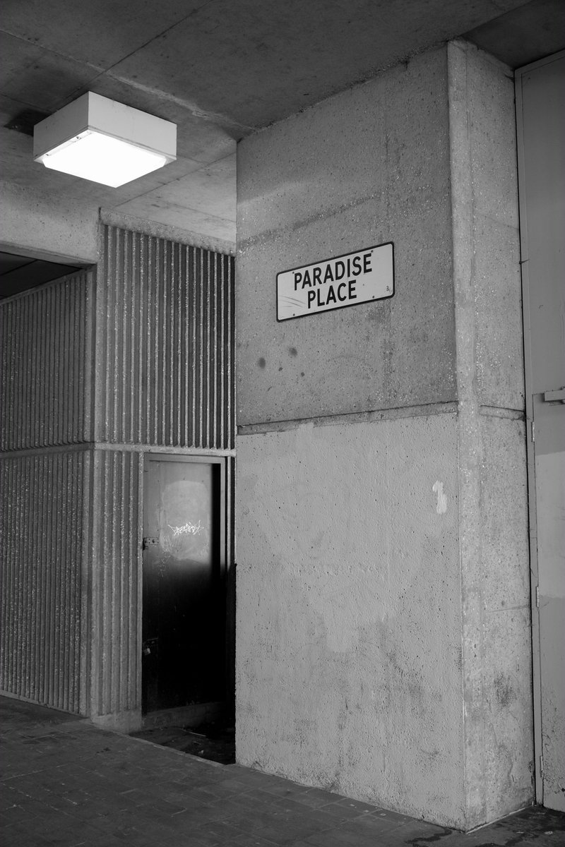 archillect's tweet image. 