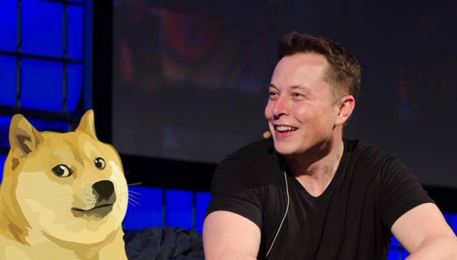 teslaownersSV's tweet photo. @elonmusk Are you taking Doge with you https://t.co/P8bvNjG3Te