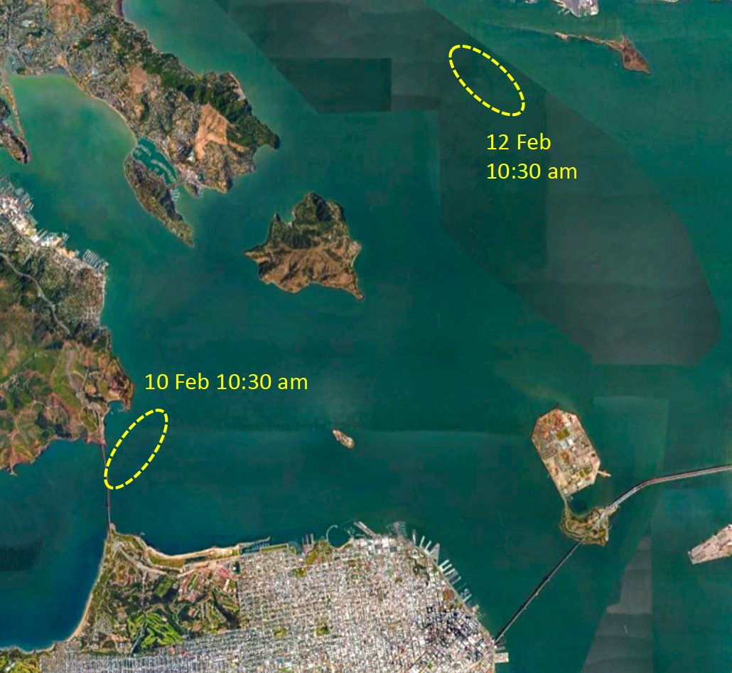 TMMC's tweet photo. Last week, 2 #GrayWhales were spotted within 2 days. Some may still be malnourished from the ongoing UME (#UnusualMortalityEvent), or remember the Bay as a place to rest. Please help protect these #GentleGiants: Look for spouts 👀 Slow to 10knots or less ⚠️ and give whales space. https://t.co/UiYWTHo1TP