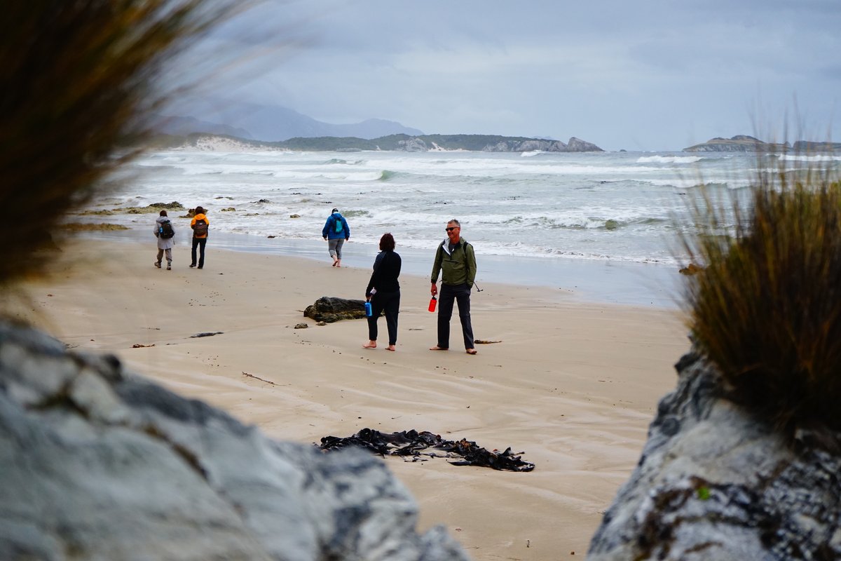 Roaring 40s Kayaking tweet media