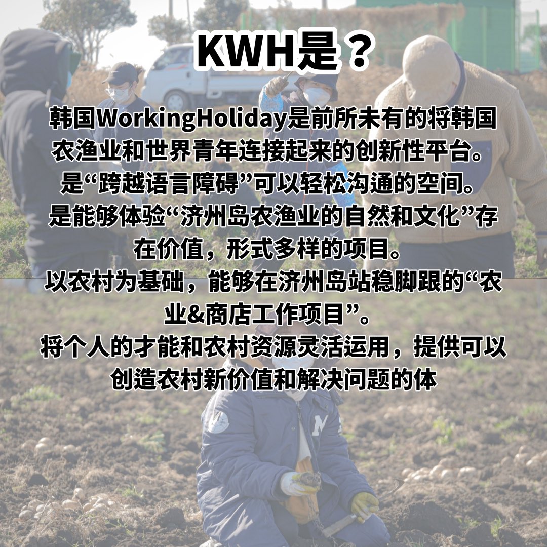 kWorkingHoliday's tweet photo. https://t.co/rXjTbT2WS4