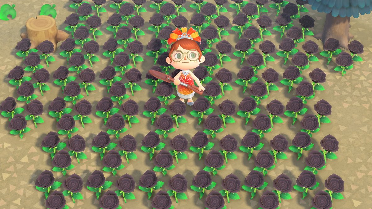 opaloona's tweet photo. #AnimalCrossing #ACNH #NintendoSwitch https://t.co/ZjfaH414EF