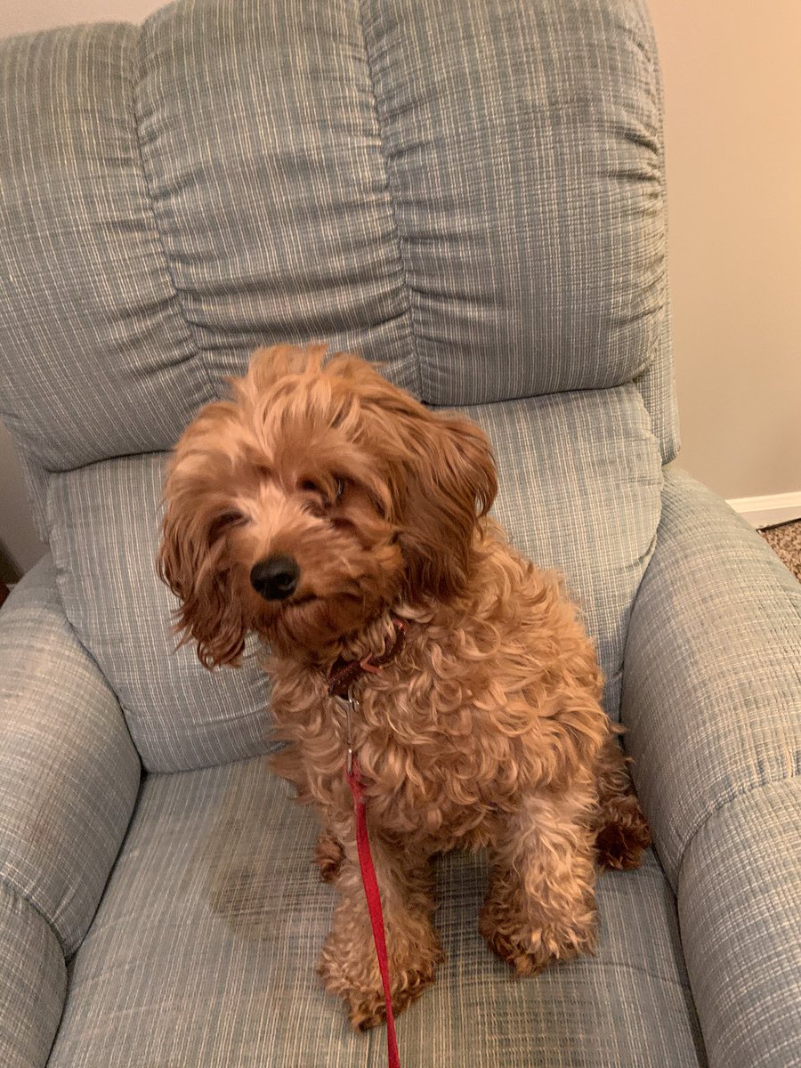 It’s my 1st gotcha day!