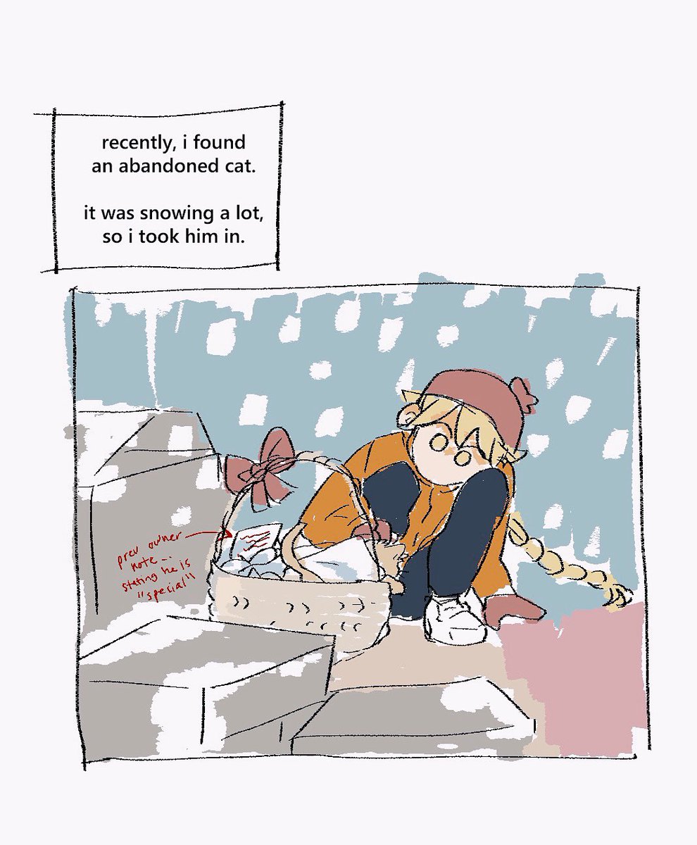 bwannoli's tweet image. catbedo catbedo catbedo #albether