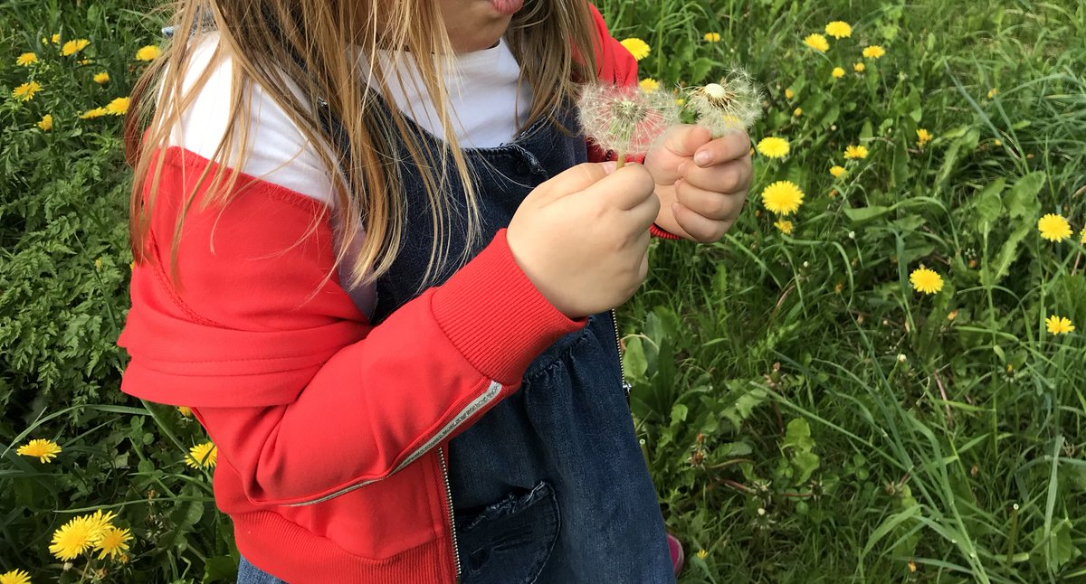 A few characteristics of a child friendly city:

- Safe streets where kids can walk on their own
- Unpolluted and clean environment
- Sufficient space for meetings with friends and play 
- Green spaces for exploring the nature. Opportunities to plant own trees or flowers.