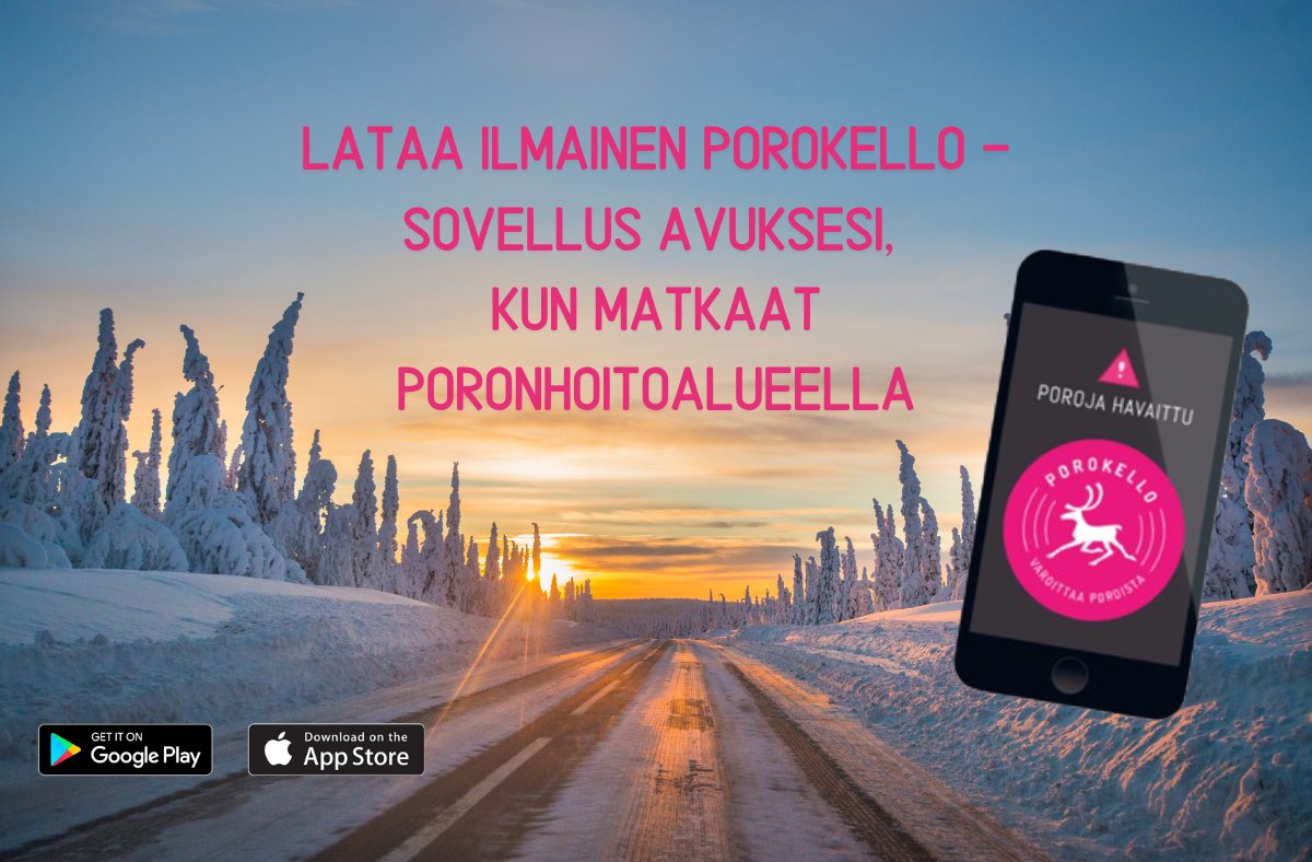 Porokello's tweet photo. ☀️Kevät näyttää ensimerkkejään jo täällä Lapissa. Muistathan ladata avuksesi ilmaisen #Porokello -sovelluksen, kun matkaat poronhoitoalueella. Se auttaa sinua ennakoimaan tien läheisyydessä kulkevat porot. 

#liikenneturvallisuus #hiihtoloma #lappi https://t.co/L802V5f6Vl