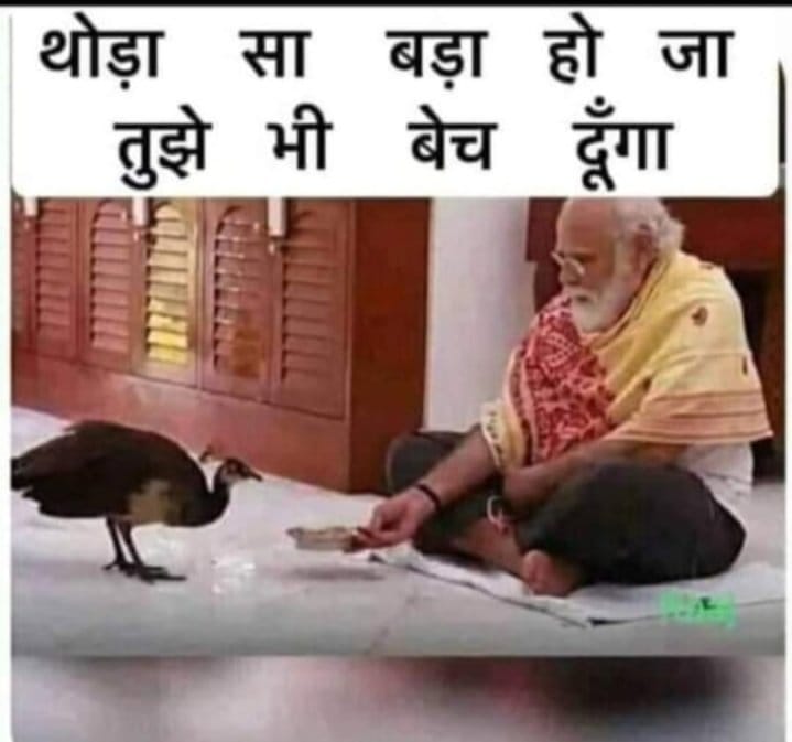ShakuntalaSahu0 tweet picture