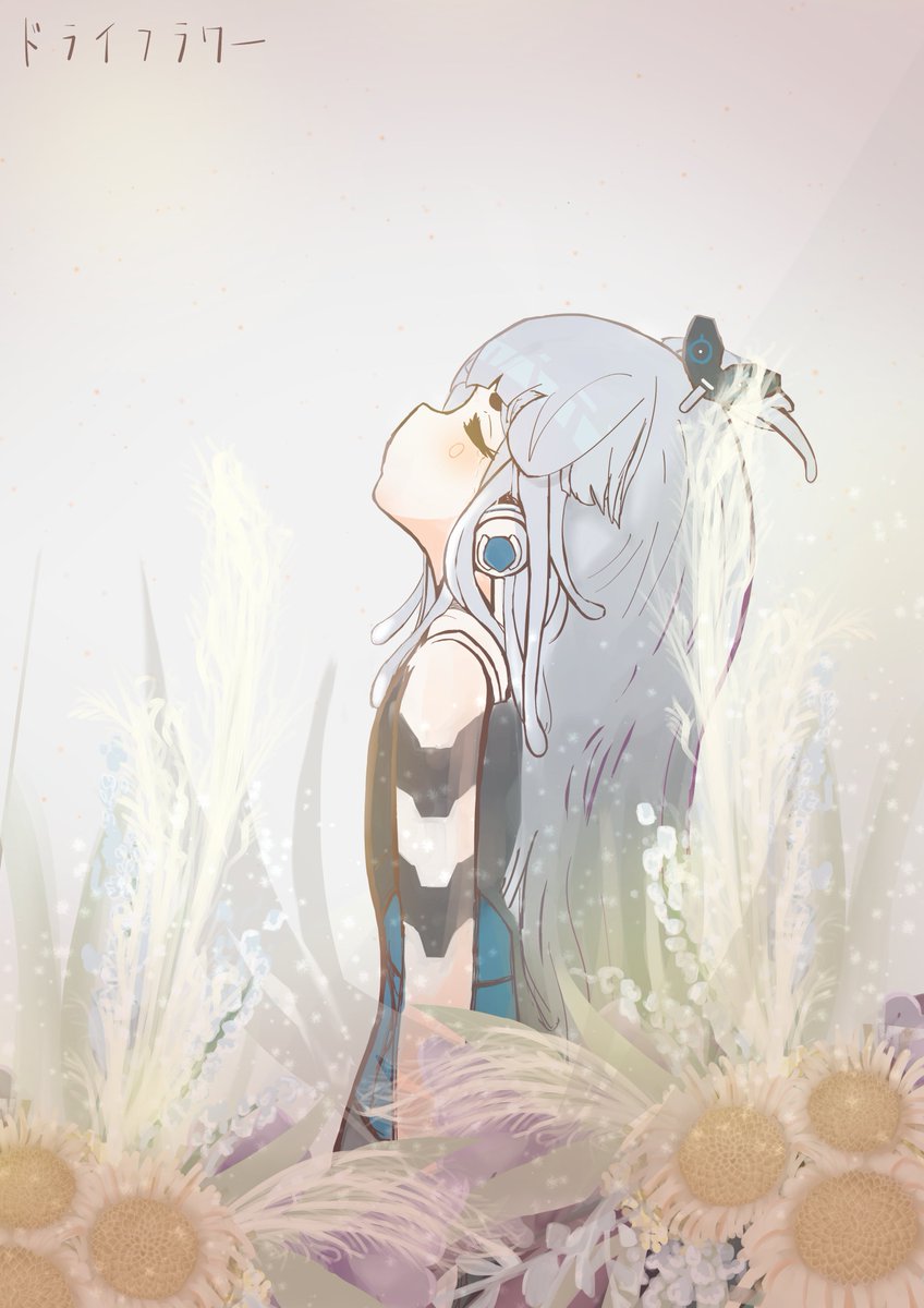 ようち 絵アカ ドライフラワー ゆげいじゅつ ようち 絵アカ ドライフラワー ゆげいじゅつ