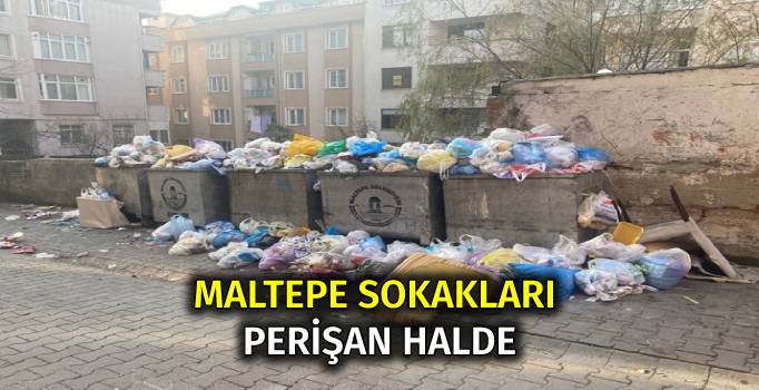 Maltepe Sokaklarının Hali İçler Acısı

Haberi okumak için: kartalyasam.com/maltepe-sokakl…

#haber #sondakika #maltepe #istanbul