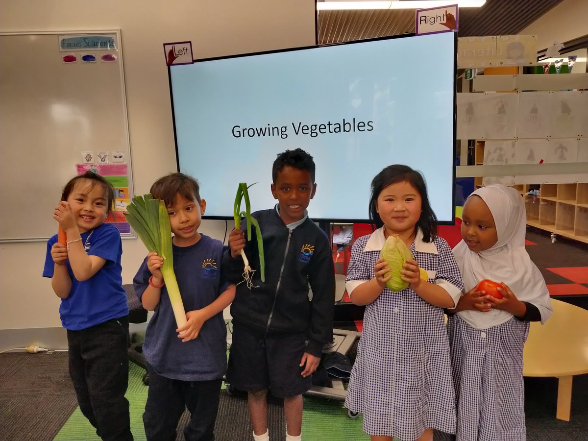 MillyyMoo's tweet photo. This term for inquiry we are learning about sustainability. We looked at what living things need to grow so that we can help plants and animals to grow. 

We also investigated what types things our veggies needed to survive. We had so much fun! #GlengalaPROUD 💚♻️ https://t.co/AjpwM8CAfm