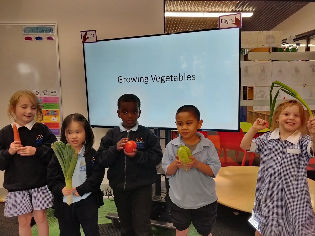 MillyyMoo's tweet photo. This term for inquiry we are learning about sustainability. We looked at what living things need to grow so that we can help plants and animals to grow. 

We also investigated what types things our veggies needed to survive. We had so much fun! #GlengalaPROUD 💚♻️ https://t.co/AjpwM8CAfm