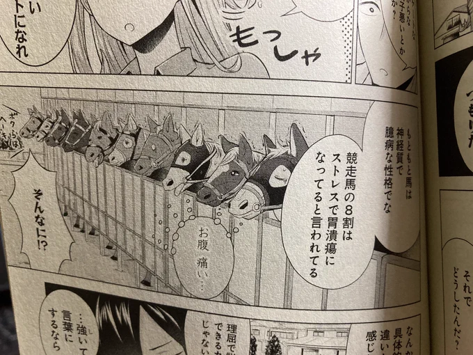 競走馬の8割くらいはプレッシャーとかストレスで胃潰瘍って聞いた時はビックリした… 