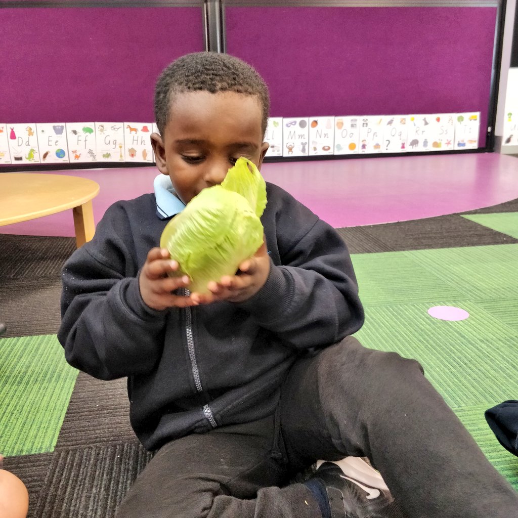MillyyMoo's tweet photo. We looked, smelt and touched our veggies and discussed what they need to survive and GROW. https://t.co/LfdinwBTD4