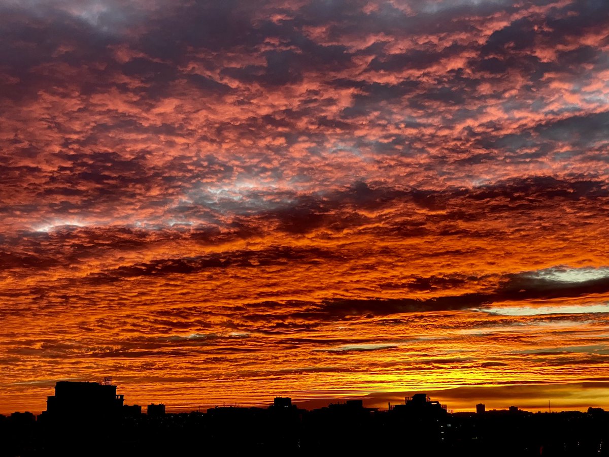 Manuel Bartual tweet media