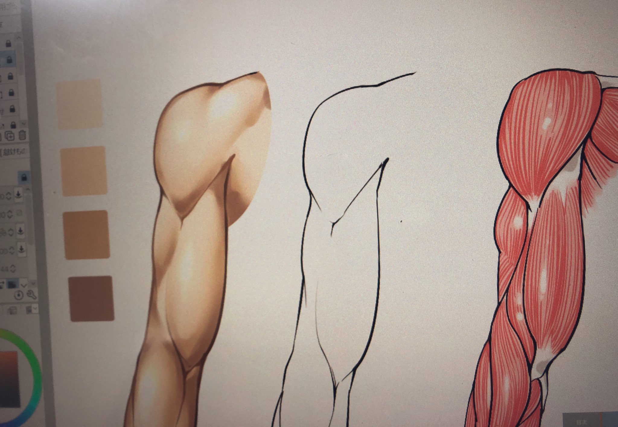 吉村拓也 イラスト講座 腕1周360 筋肉アングルの見え方 のイラスト講座を製作中です 男性の腕の筋肉がいろんな角度から 図解で知りたい って人にオススメの講座にする予定です 腕が描けない 上達したい という人はお楽しみに 吉村拓也 イラスト講座 腕1周360 筋肉アングルの見え方 のイラスト講座を製作中です 男性の腕の筋肉がいろんな角度から 図解で知りたい って人にオススメの講座にする予定です 腕が描けない 上達したい という人はお楽しみに