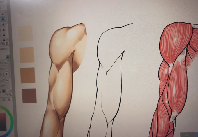 【腕1周360°筋肉アングルの見え方】

のイラスト講座を製作中です?✨

男性の腕の筋肉がいろんな角度から
図解で知りたい‼️
って人にオススメの講座にする予定です!

「腕が描けない…上達したい!!」
という人はお楽しみに☺️✨ 