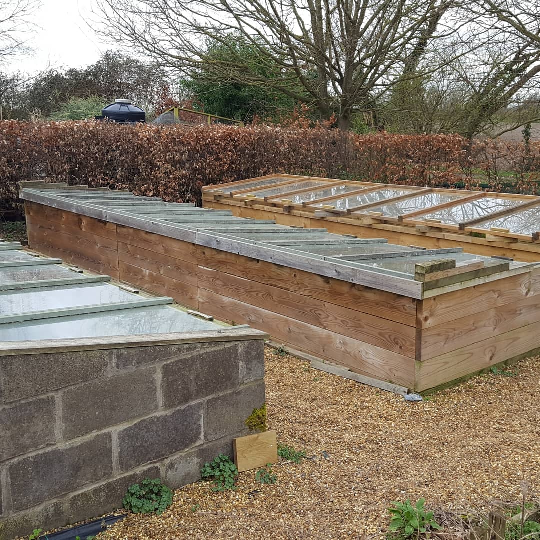 PlantPref's tweet image. Since there was a lot of interest in my seed frame yesterday here are all 3 frames, all 8 dutch lights.

The oldest concrete block frame with previous years seed trays. 

Newest wooden frame, mostly geophytes.

#coldframe #dutchlight #NotAGardenCentre #propagation