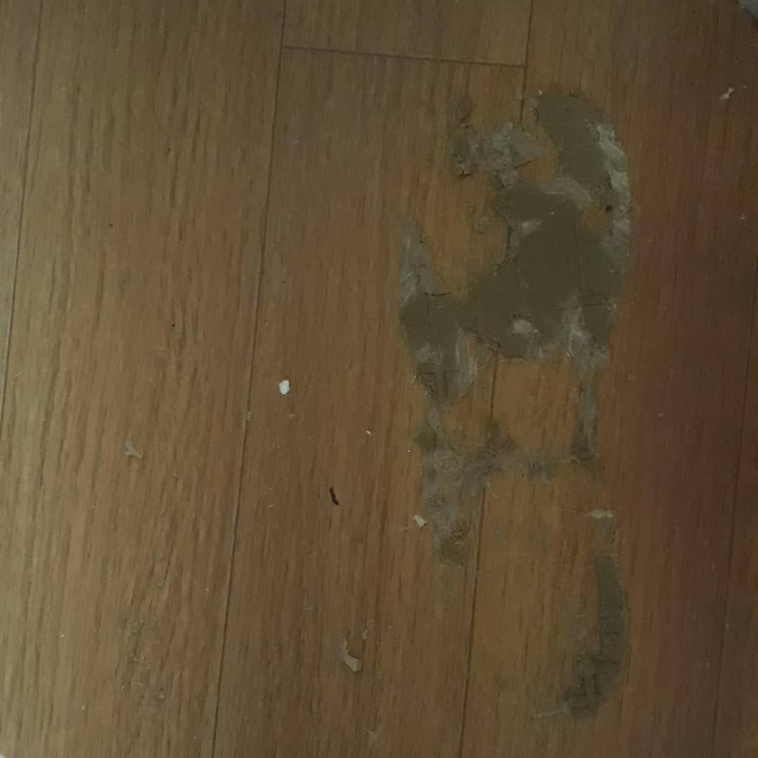 BooksAdela's tweet photo. My slipper melted and fused to the floor.  The cleanup pictures in reverse make it look like I slowly unearthed it like an archaeologist.  Wow. https://t.co/wJ7i9GYLa3