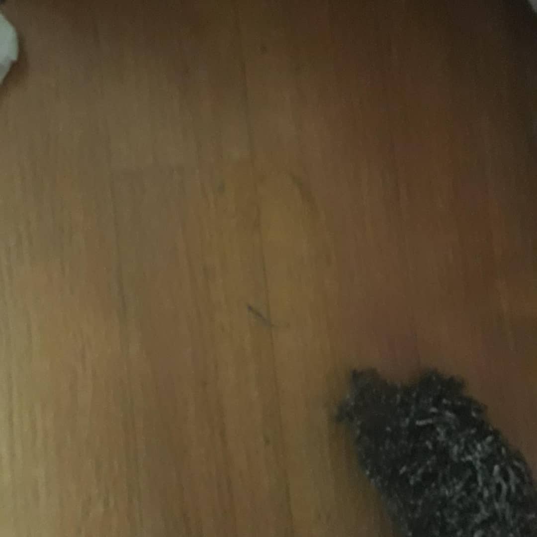 BooksAdela's tweet photo. Part 2 of the great slipper cleanup. https://t.co/H5y5qNfwjJ