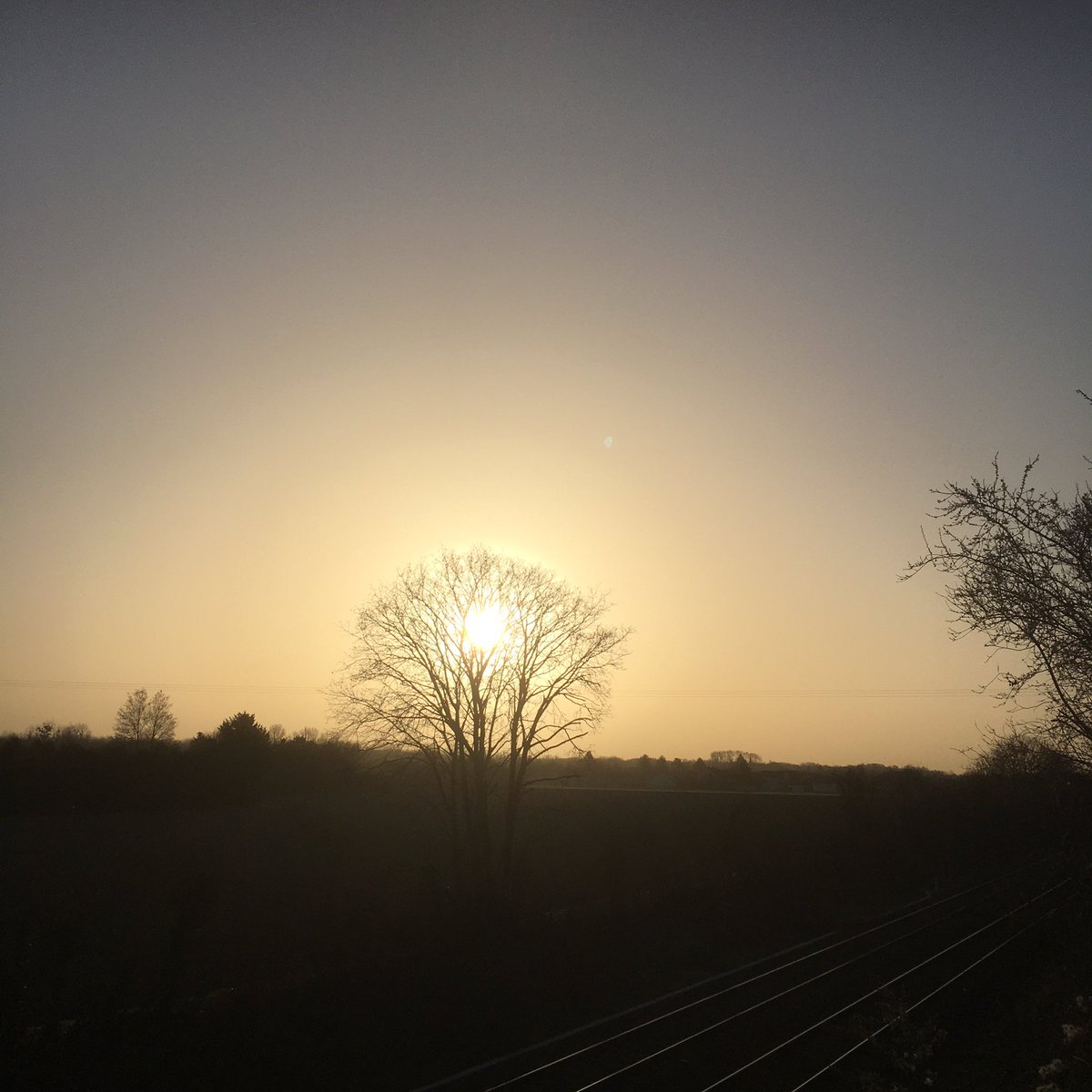 G27Marco's tweet photo. Brousse ? Savane? Non, #campagne #auboise avec #soleil plus actif qu’au même endroit à la même heure hier. #promenade #nature quotidienne https://t.co/XDImKuXsTN