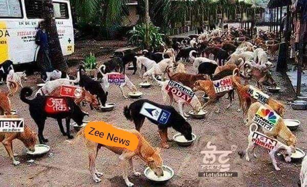 aniruddh7047's tweet photo. In the twitter all over the world trending #modi_job_do
But our media what are doing?
#modi_rojar_do
#GoBackModi #ShameOnModi https://t.co/4fUQIME9rd