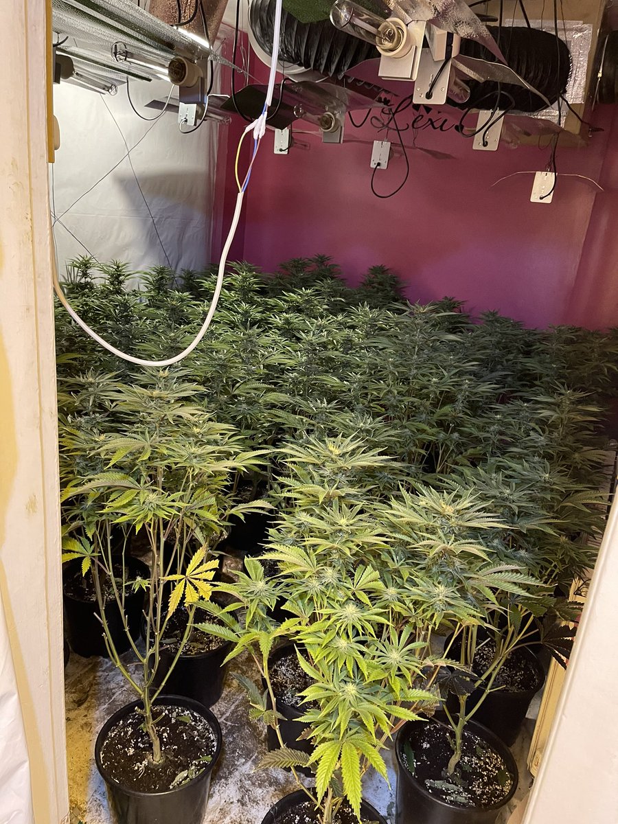dronesWMP's tweet photo. Following a positive thermal flyover, today @dronesWMP have assisted @WestBromwichWMP to execute a drugs warrant - great result all round.. https://t.co/4Y2c8NXoVe