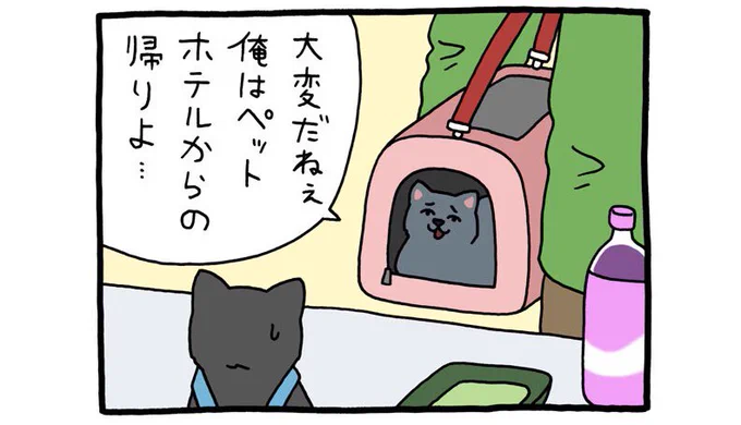 4コマ漫画レジネコ。お客ネコ再登場!

https://t.co/mA7roLbTjV

#レジネコ #キューライス 