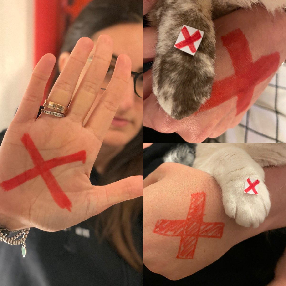 paty_fidalgo's tweet photo. We believe every child has the right to grow up free. That’s why we’re working with @ecpat @love146 and @enditmovement to fight trafficking and protect all children. 

Learn more: https://t.co/AEKCsiYAV4.
#preferredgivesback #enditmovement #preferredgivesback #ECPAT #Love146 https://t.co/FDNZlzQRxp