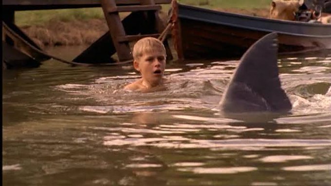 オオメジロザメのtwitterイラスト検索結果