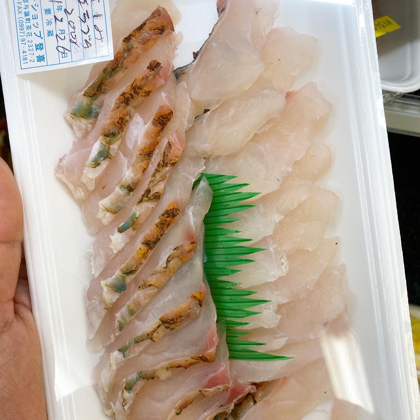 Twitter 上的 与論マーケット エラブチの刺身が入荷したよ 南国のカラフルフィッシュやでー 与論島 ヨロン島 オーシャンマーケット 刺身 エラブチ ブダイ 南国の魚 T Co 1umiitxjb9 Twitter