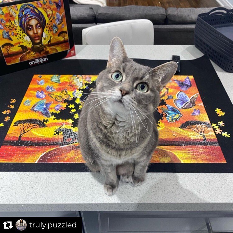 AnatolianPuzzle's tweet photo. from truly.puzzled @anatolianpuzzle
Mandatory puzzle break 😅 can’t say no 😻🧩
@AnatolianPuzzle #anatolian #anatolianpuzzle #puzzle #jigsawpuzzles #puzzler #puzzling #puzzlefeed #puzzlelover #ilovepuzzles #puzzlecollection #puzzletime #puzzlelove #cats #yapboz #puzzleanatolian https://t.co/hUogiG60kL