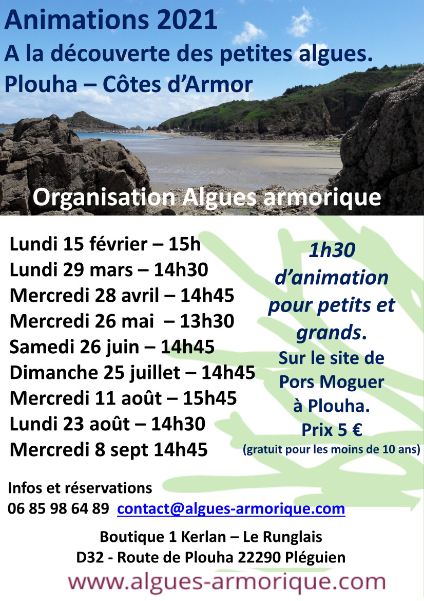 Découverte des algues et pour aller plus loin, des petites algues avec Algues Armorique. Un organisation au top ! Inscrivez-vous sans hésiter 😉 Une sortie est prévu ce dimanche 28 février