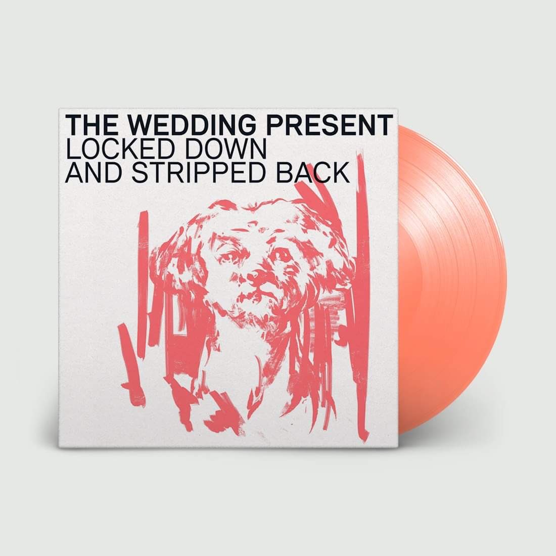 Clue Records tweet media