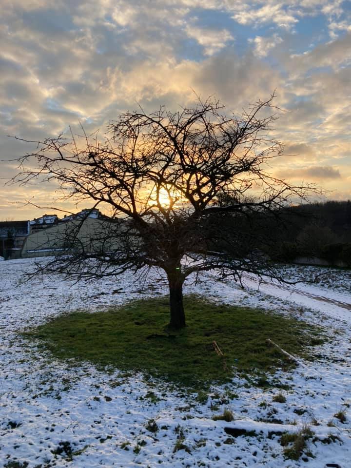 marilyn_perren's tweet photo. #Luxembourgcity #LuxFilmFest #SpringInLuxembourg February https://t.co/kOHaGiDIBa