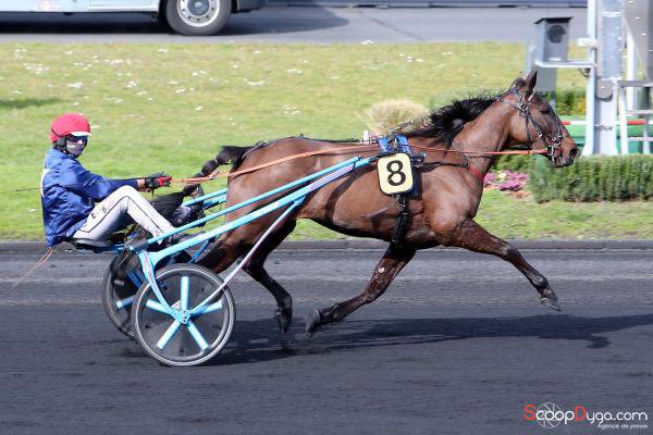 Ecurie S. Guarato tweet media