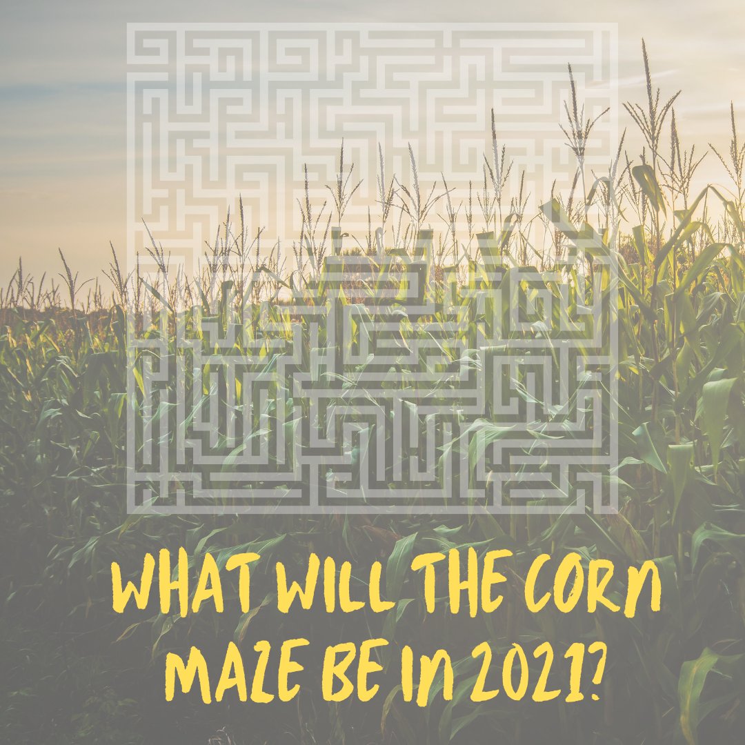portfarms's tweet photo. In our corn maze last year we celebrated our everyday heroes for continuing to help us through 2020. What do you think this year’s maze design will be? 🌽
#CornMaze #FallFun #PortFarms https://t.co/sm8uwcBgzo