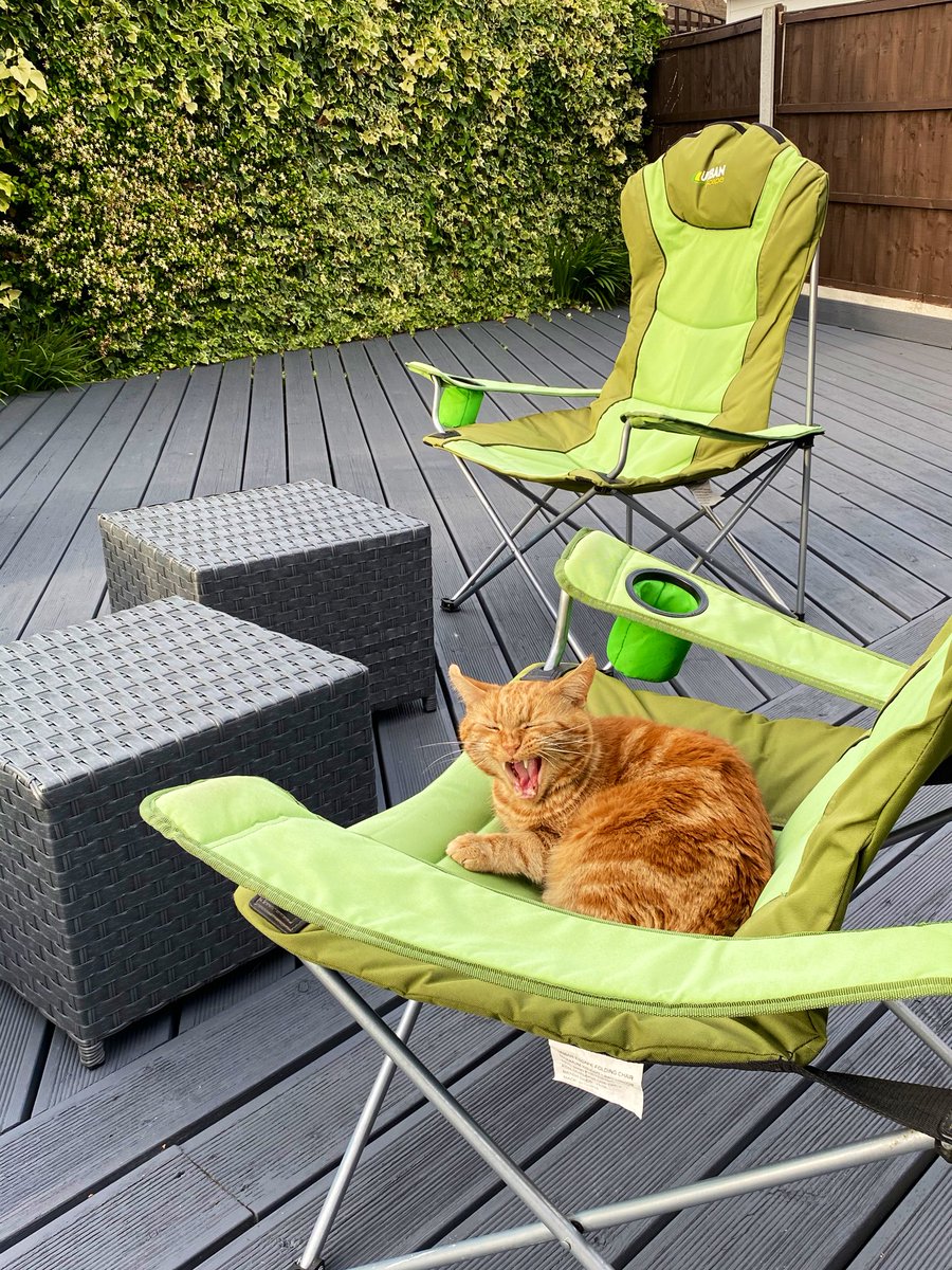 “...and then she said, why you need more than 1 scratching post....”