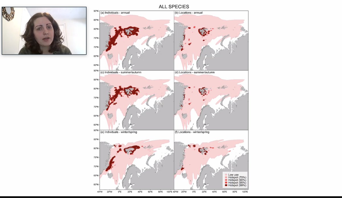 Dr Hamilton (@FishOceansCAN @NorskPolar) joined our #AnimalMovement journal club today and gave a great presentation on her new @MEPS_IR paper that identified #MarineMammal hotspots in the Greenland and Barents seas🐋🦭🐻‍❄️bit.ly/meps_659_1