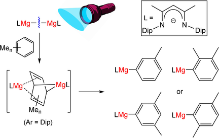 angew_chem's tweet photo. Photochemically Activated Dimagnesium(I) Compounds: Reagents for the Reduction and Selective C-H Bond Activation of Inert Arenes by @Jones_Research @ChemistryMonash https://t.co/fmmYLD003M https://t.co/yQ9SPO4moA