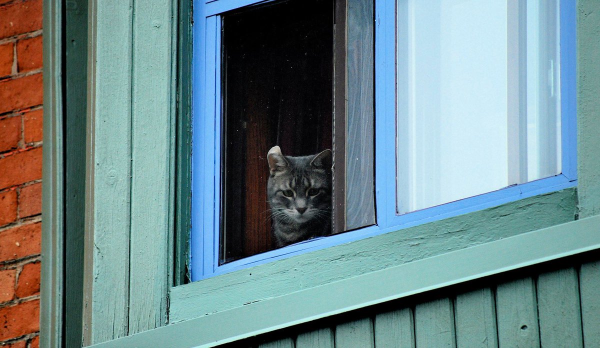 Enchanted caslworks.com/2011/07/20/enc… via <a href="/CASLworks/">CASLworks</a> #humanity #throwback